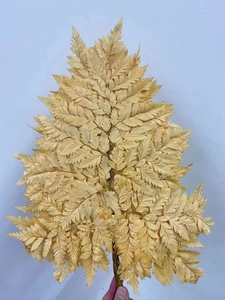 <span class=keywords><strong>Felce</strong></span> in pelle conservata con fiori secchi più venduti per la decorazione domestica - Product Image 5