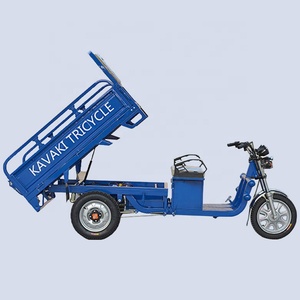 Tricycle à 3 roues d'occasion pour adultes avec moteur à batterie au plomb-acide 48V - Product Image 2