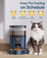 NOUVEAU Distributeur automatique intelligent de nourriture pour animaux de compagnie 4L, distributeur de nourriture pour chiens et chats avec bol en acier inoxydable