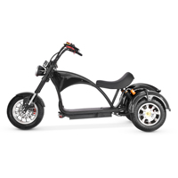 Yeni moda 3 tekerlekli 2000W moda kıyıcı modeli M3 Trike hızlı hızlı elektrikli scooter yetişkin Citycoco elektrikli üç tekerlekli bisiklet