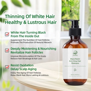 OEM ODM Organic Melanin Boosting Anti-Graying <strong>Darkening</strong> Black Ganoderma Anti-Gray <strong>Hair</strong> <strong>Shampoo</strong> for Gray <strong>Hair</strong> - Product Image 5