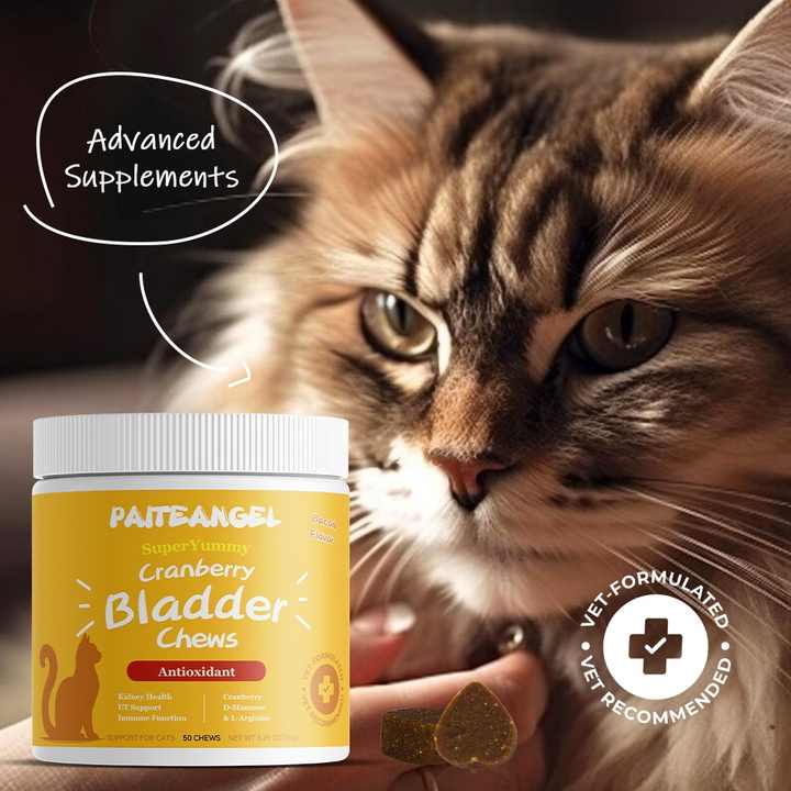 Photo inspiration: Fresh Look at Custom Cat Cranberry Supplement Chews Private Label Urinary Wellness