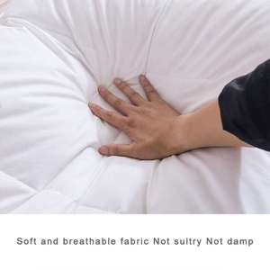 <span class=keywords><strong>Couette</strong></span> haute puissance de remplissage 100% coton <span class=keywords><strong>couette</strong></span> de remplissage <span class=keywords><strong>couette</strong></span> d'hiver <span class=keywords><strong>Eider</strong></span> pour la maison - Product Image 4