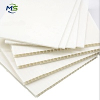 Feuille de plastique ondulé PP à surface lisse 4 mm 800 g/m² pour impression numérique jet d'encre, support de signalétique