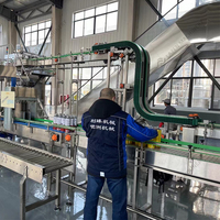 Automatische industriële fruitpersmachine voor mango's, 10-200T/D, fruitverwerkingslijn