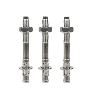 Anclaje de cuña métrica de expansión de acero inoxidable M8 M10 M12 A2 A4 para escalada