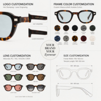 Lunettes de soleil polarisées TAC personnalisées Lmamba JS1604 avec logo, lunettes de soleil en acétate de haute qualité pour hommes et femmes