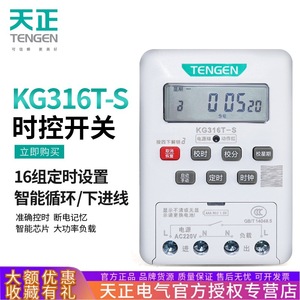 Minuteur numérique Tengen Kg316t S 220V pour éclairage public et pompes à eau - Product Image 4