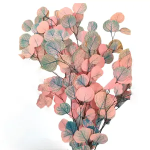 卸売人工乾燥ユーカリの木の葉保存花アップルの葉装飾用