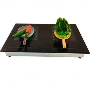 2025 Double <b>Ring</b> Induction <b>Hob</b> With Metal Housing - Product Image 1