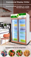 Réfrigérateur commercial à double porte avec porte en verre pour boissons, refroidissement par air, anti-buée