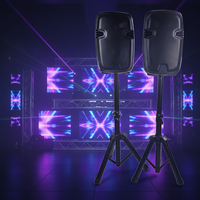 Système de sonorisation professionnel amplifié 2x15 pouces 1000W en plastique, sans fil, pour intérieur/extérieur, idéal pour fêtes, DJ et karaoké