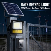 Lampu Sorot Reflektor Tenaga Surya LED 30-400w Tahan Air IP66 untuk Luar Ruangan dengan Sensor Gerak, ABS+Kaca, Sorotan Putih Hangat