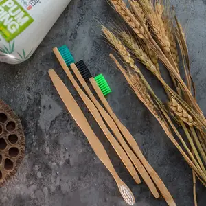 Cepillo de dientes de bambú al por mayor de la naturaleza de Eco