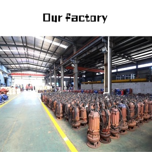 Hebei dingao ปั๊มสูบน้ำเสียใต้น้ำกันระเบิดมอเตอร์ปั๊มน้ำสำหรับตู้ปลา - Product Image 5