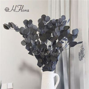 زفاف عيد الميلاد عيد الهالويون زينة مهرجان الخضرة أوراق الشجر بالجملة باقة زهور مجففة أوراق الأوكالبتوس المحفوظة - Product Image 2