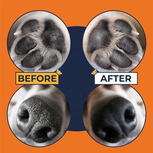 Crème <span class=keywords><strong>anti</strong></span>-<span class=keywords><strong>rides</strong></span> au miel de Manuka + sucette pour la peau au miel argenté + baume pour les pattes et le nez Bulldog traitement des points chauds élimination des démangeaisons hydratantes - Product Image 3