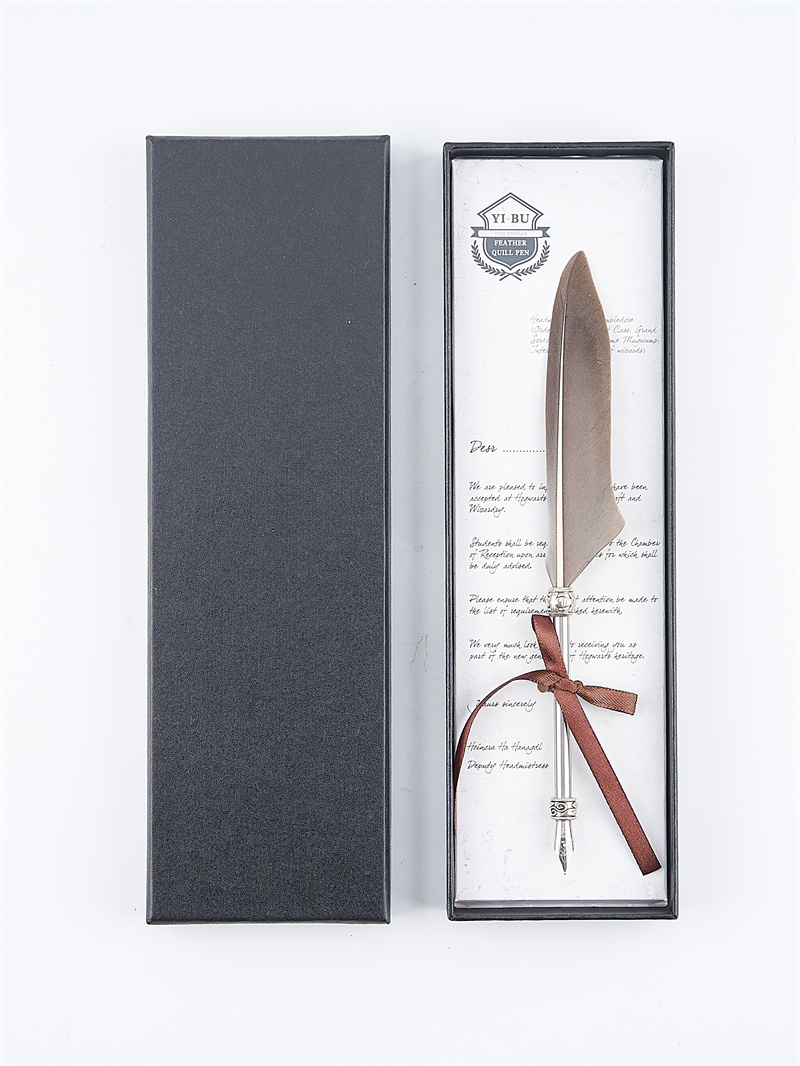 Penna marrone in una scatola