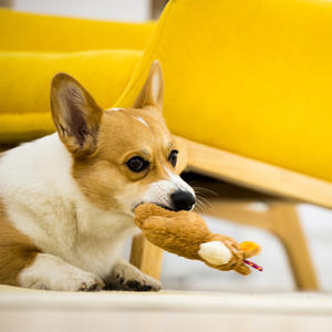 Vente en gros jouet dinosaure pour chien animaux qui grincent jouets en peluche chien chat jouets en peluche à mâcher apaisants pour chiot - Product Image 2