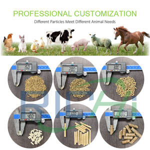 حلقة من المصنع مباشرة ، يموت بخط إنتاج الدواجن للمزرعة - Product Image 3