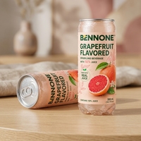 Boisson pétillante aromatisée au pamplemousse, faible en gras, 300 ml, 10 % de jus, prête à boire, boisson gazeuse aux agrumes en bouteille, certifiée HACCP
