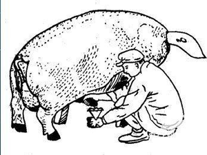 Eenvoudige En Handmatige Dierenspermacollector Voor Kunstmatige Inseminatie Voor Runderschapenpaarden Varkenshonden Voor Boeren - Product Image 5