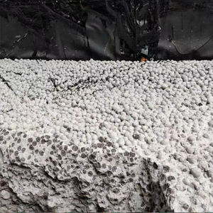 Relleno de aislamiento térmico de alta resistencia Concreto de ceramsita de esquisto agregado ligero utilizado para mortero de construcción - Product Image 4