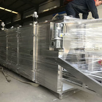 Aanpasbare roestvrijstalen infrarood transportband droogoven motor pomp multifunctionele voedselverwerking droogoven voor fruit