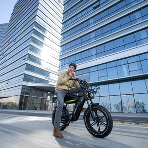 KOOLUX X9 PROS Bicicleta Eléctrica con Motor Trasero sin Escobillas de 250W, Batería de Litio de 48V, Sistema de Discos, 20 Pulgadas, Stock en el Reino Unido, Envío Rápido - Product Image 1