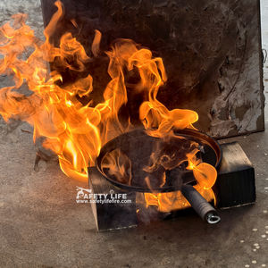 Adesivo per Estintore Sistema di Soppressione Incendi in Cucina Mini Estintore da Cucina con Asta Telescopica per la <span class=keywords><strong>Sicurezza</strong></span> - Product Image 5