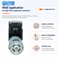 Compresseur d'air portable mini électrique 12V à piston, haute pression CC 550 kPa, débit élevé 40 L/min, OEM