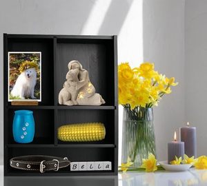 Scatola commemorativa per animali domestici in legno massello 11x14 pollici con ripiani, teca espositiva per la memoria di cani e gatti - Product Image 6