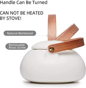 Tetera con Infusor de cerámica mate para mujer, de hojas sueltas para té japonés, teteras de porcelana de 27 onzas, blanco para regalo - Product Image 4