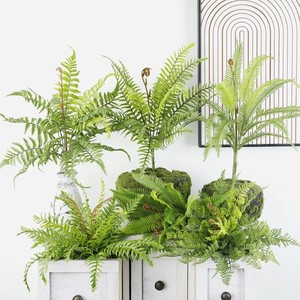 Plante de <span class=keywords><strong>fougère</strong></span> artificielle en pot pour <span class=keywords><strong>d</strong></span>écoration intérieure, mariage, <span class=keywords><strong>ornement</strong></span>, <span class=keywords><strong>fougère</strong></span> persane artificielle - Product Image 1