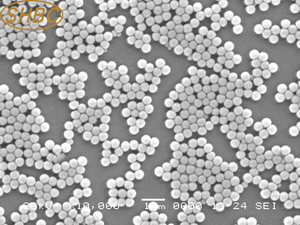 Perlas Magnéticas Epoxi Monodispersas de Tamaño de Partícula Uniforme para Inmunoprecipitación e Investigación de Laboratorio - Product Image 5
