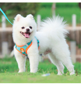 ペット犬用ハーネスとリーシュセット調整可能子犬猫ハーネスベスト反射歩行リースリーシュ小型犬用チワワ - Product Image 6