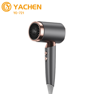 Venta caliente salón ligero bajo ruido secador de pelo de alta velocidad profesional de secado rápido secador de pelo portátil - Product Image 1