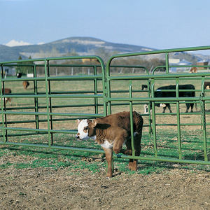 חם מבצע כבד-חובה מגולוון נייד גדר corral לוח גדר חצר גידור גידור עבור בקר בקר - Product Image 1
