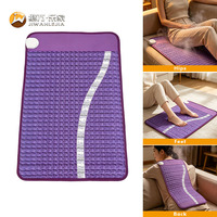 Coussin de massage chauffant en améthyste naturelle Jiwan Lejia Health Therapy avec technologie Shield