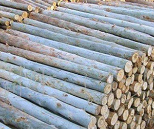 Enjeux carrés en <span class=keywords><strong>bois</strong></span> naturel 1.5m de haut ferme en <span class=keywords><strong>bois</strong></span> dur clôturant des poteaux <span class=keywords><strong>pour</strong></span> la barrière de sport - Product Image 6