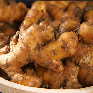 <span class=keywords><strong>Prix</strong></span> de l'huile bon marché <span class=keywords><strong>prix</strong></span> du marché plantation agricole qualité exceptionnelle gingembre frais - Product Image 6