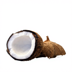 Poudre de noix de coco déshydratée vietnamienne 30% de matières grasses, qualité fine, fraîche, déchiquetée, ingrédient pour la pâtisserie, la cuisine, les smoothies, exportation, échantillon gratuit - Product Image 1