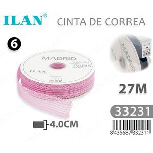 ILAN Nastro Decorativo 4.0Cm 27M Rosa Madrid Parigi Londra Tokyo Milano - Product Image 3