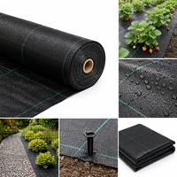 Toile paysagère tissée en PP noire anti-UV, barrière anti-mauvaises herbes, tissu de contrôle des adventices pour applications agricoles et de jardinage