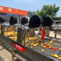 Machine automatique d'épluchage de brossage de rouleau certifiée par CE ISO pour le taro de pomme de terre gingembre patate douce homard lavage PLC moteur à engrenages