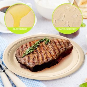 Custom 9 Inch Biodegradable Round Natural Plate Zero Waste Disposable Bagasse Dinner Plate Sugarcane Tableware - Product Image 5