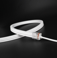 BERIXDEEP Néon flexible haute tension AC230V 1220, vision latérale, 12W, découpable, étanche IP67, pour enseignes néon intérieures