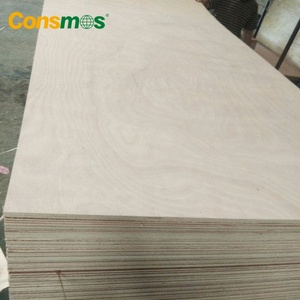 <span class=keywords><strong>Contrachapado</strong></span> Comercial de Alta Calidad con Núcleo de Álamo y Revestimiento de Madera <span class=keywords><strong>Okume</strong></span>/Bintangor/Abedul para Muebles - Product Image 6