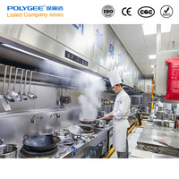 Penghisap Asap Dapur Polygee SS201/304 dengan Precipitator Elektrostatik Bersertifikasi CE, Rendah Kebisingan untuk Restoran dan Warung Ayam Goreng