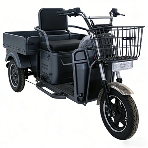 Moto hybride 3 roues à forte capacité de chargement pour la ville, 1000W, moto tout-terrain 3 roues, vente chaude en Inde - Product Image 3